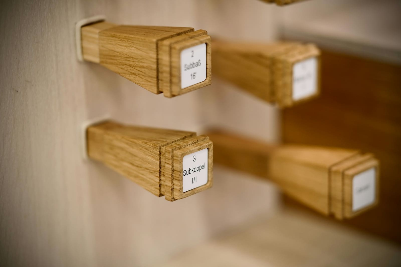 Échantillons d'assemblages en chêne