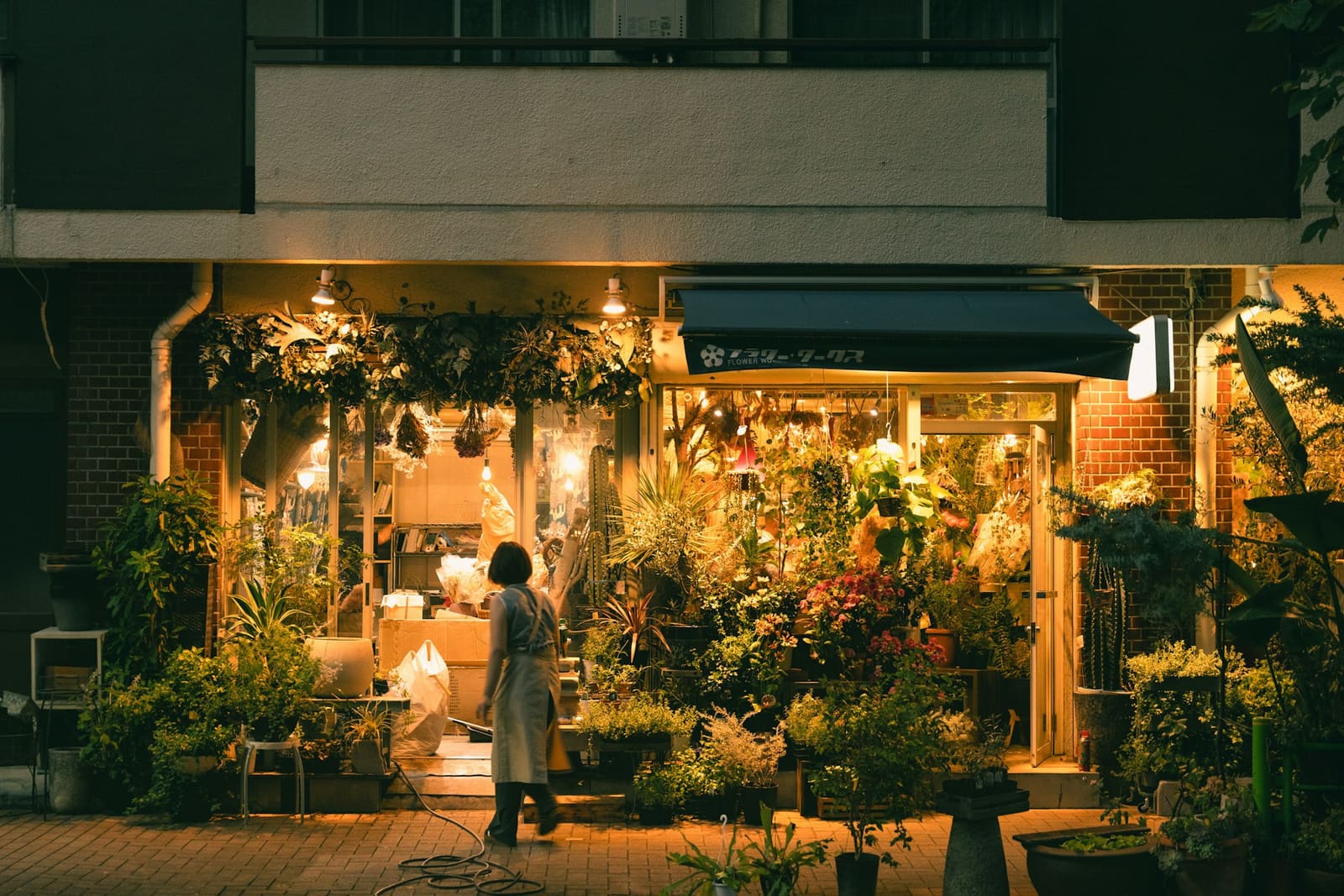 Vitrine de la boutique éclairée à la tombée de la nuit