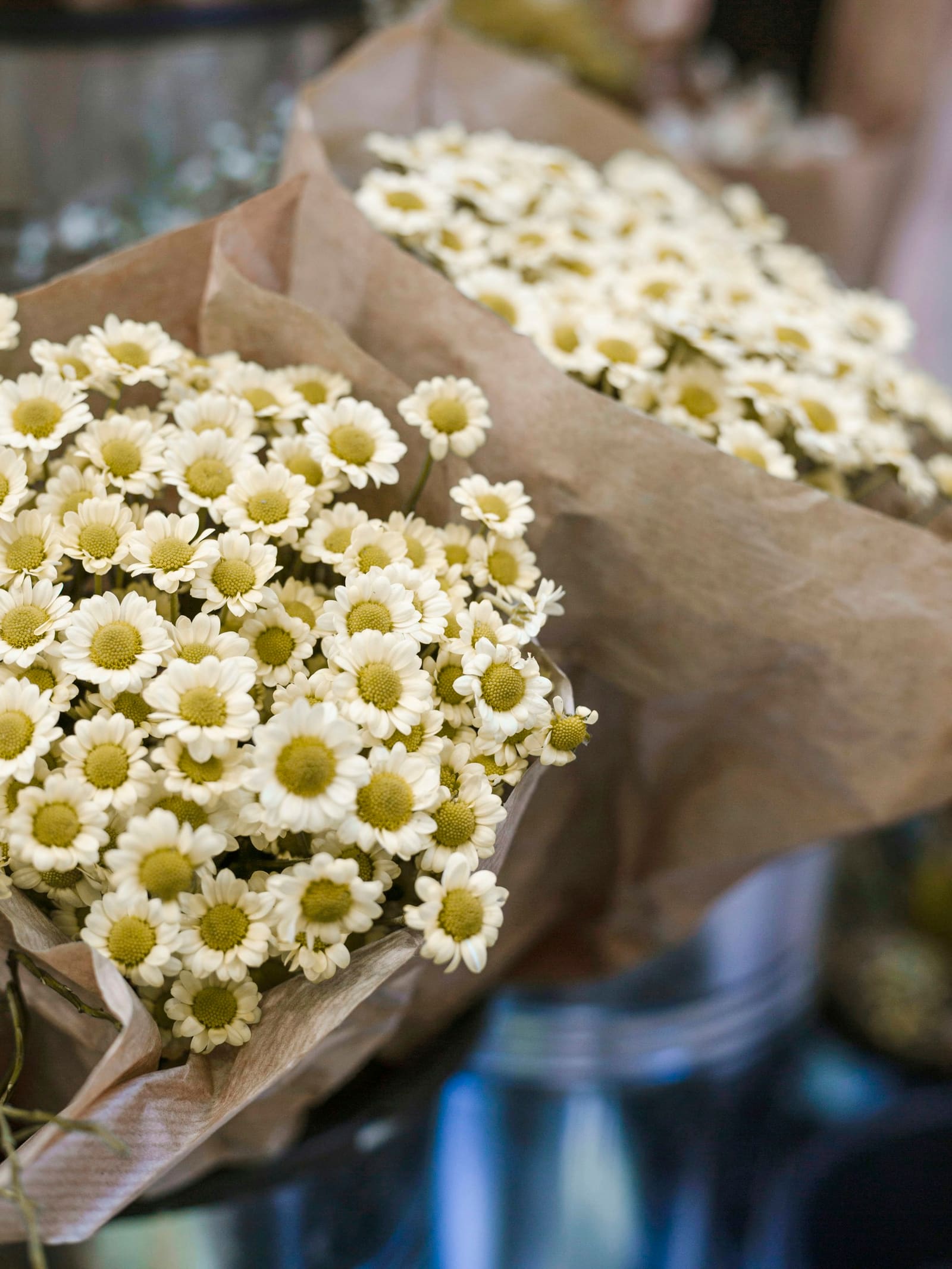 Petit bouquet de fleurs blanches