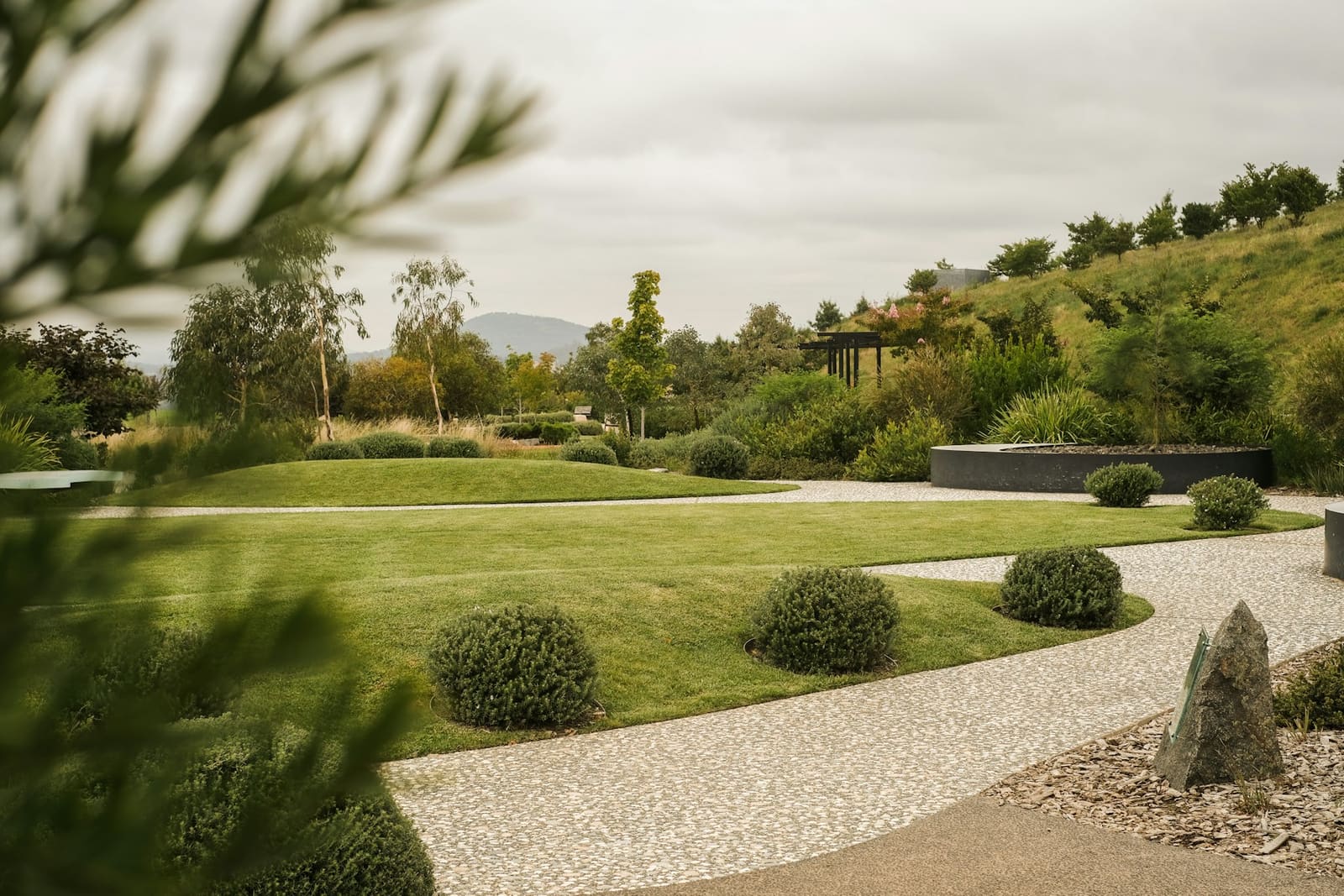 Jardin sec aux graminées et allée de gravier