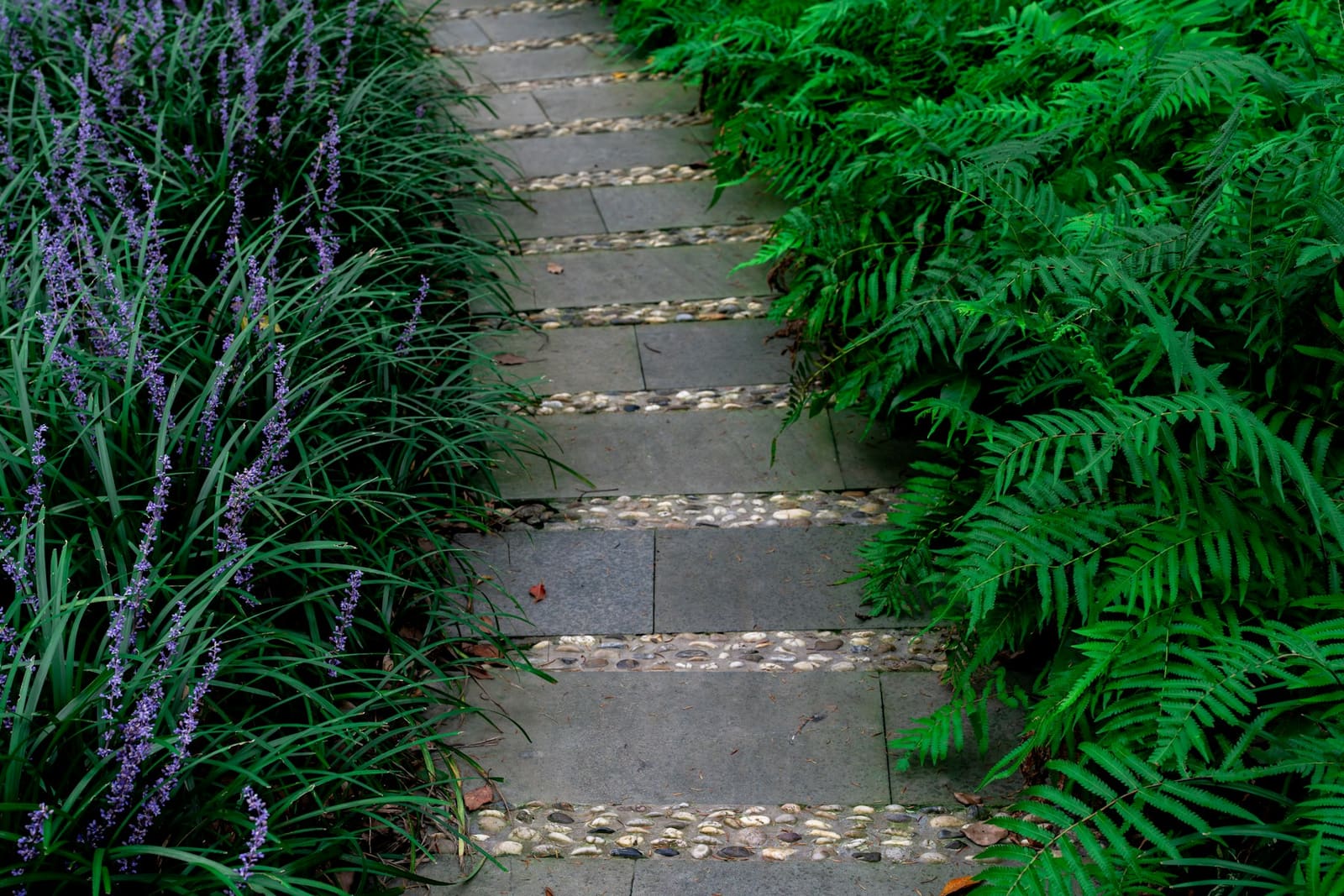 Escalier de pierre bordé de fougères et de fleurs violettes