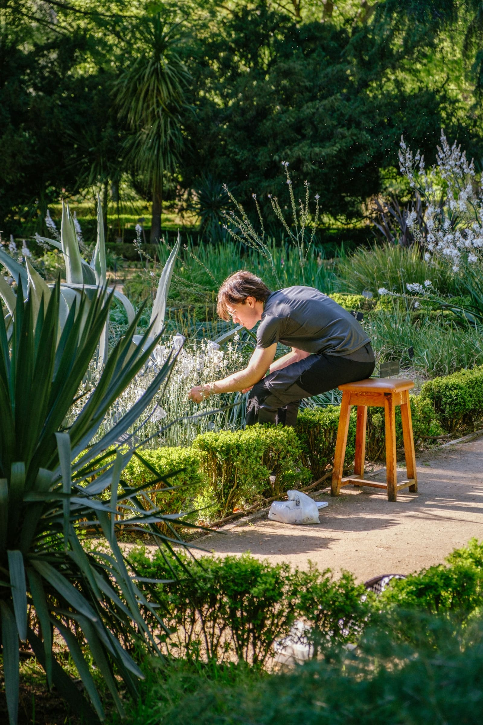 Jardinier plantant un massif